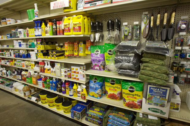 Best Garden/Nursery Store